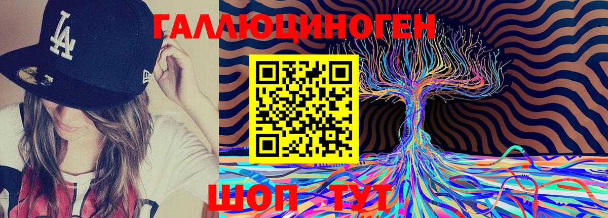 где продают   Галлюциногенные грибы ЛСД  Галлюциногенные грибы Magic Shrooms  Вход с VPN  Курчалой 